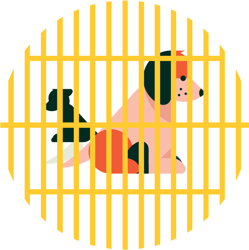 Illustration of pets in a shelter cage.
