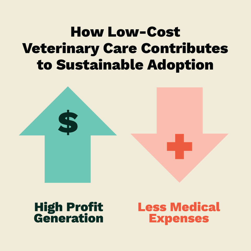 sustainability infographic