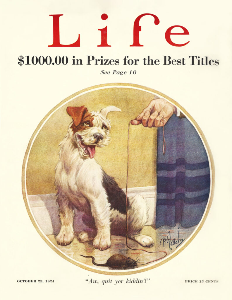 vintage life magazine cover