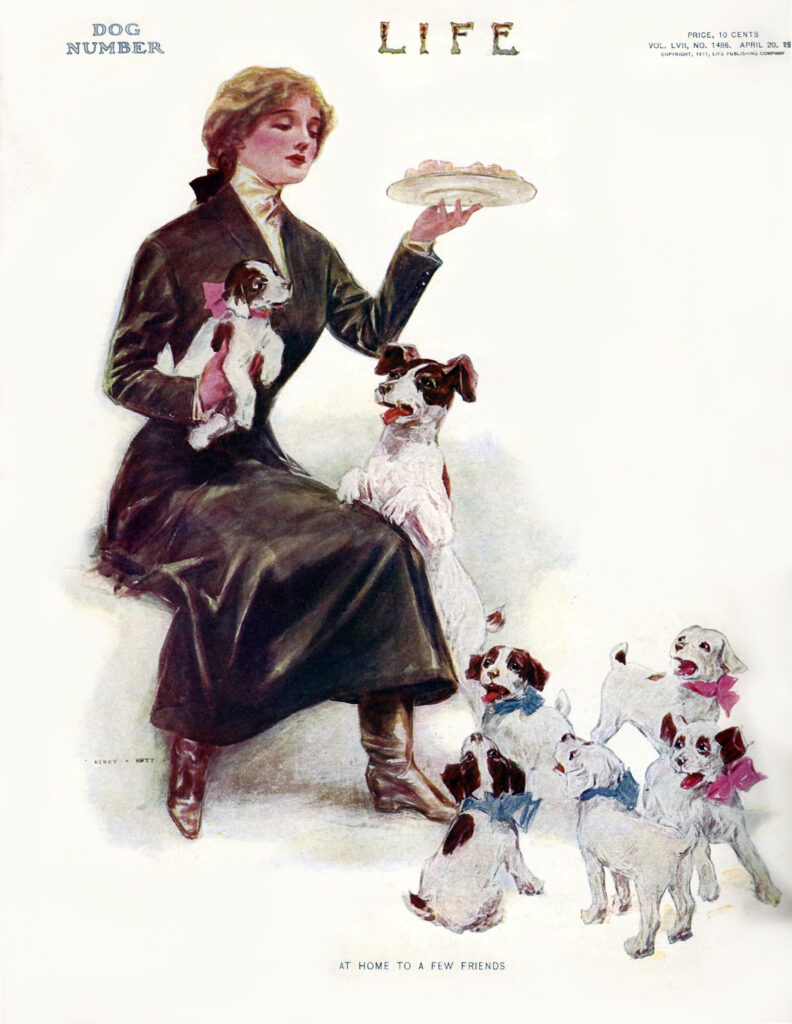 vintage life magazine cover