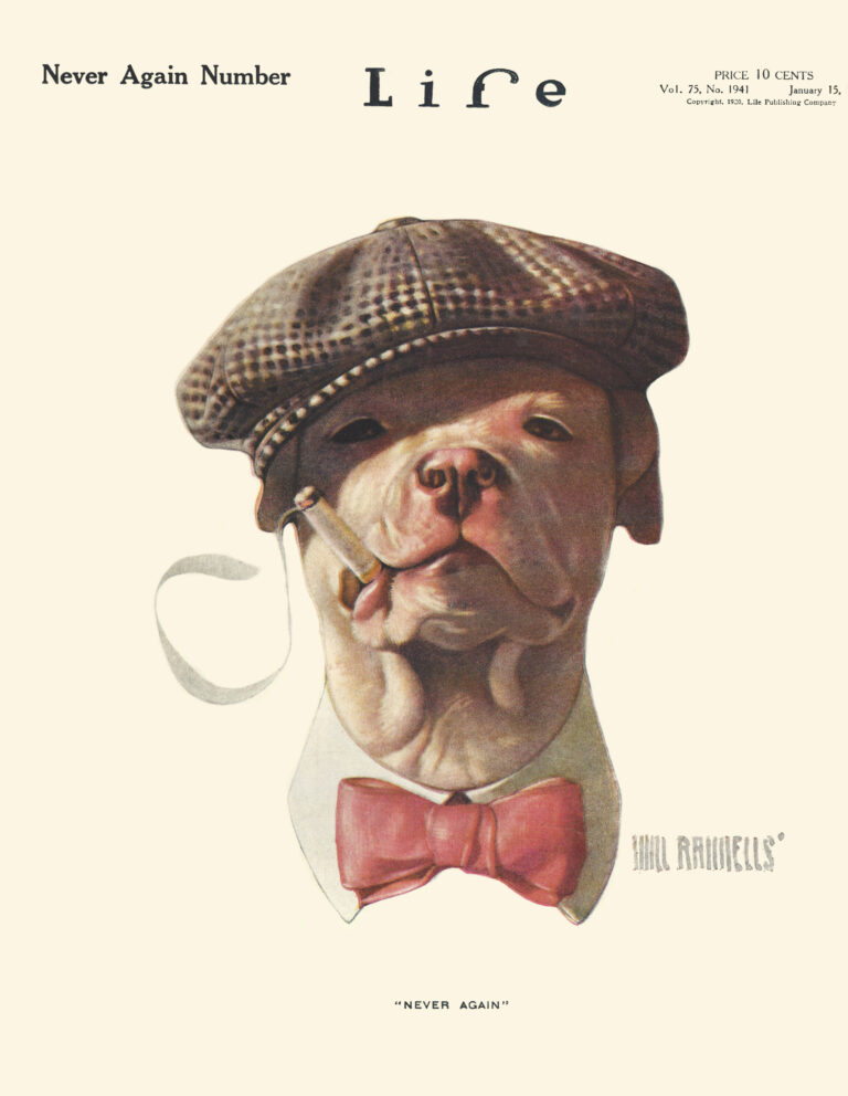 vintage life magazine cover - pit bull
