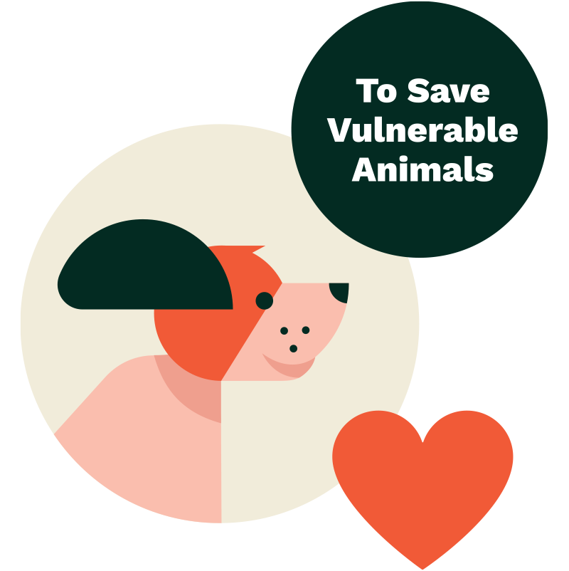 image of a dog with a heart